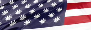 american-female-hemp-flag-c
