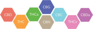 cannabinoids-cbd-content_fortuna-c