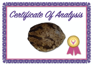 certificate-of-authority-hemp-seeds-1-fortuna-c-768x540