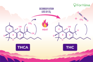 hemp-decarboxylation-what-is-it-c-min