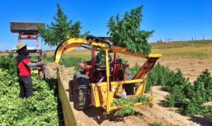the-triminator-hemp-harvesting-cbd_1500-c