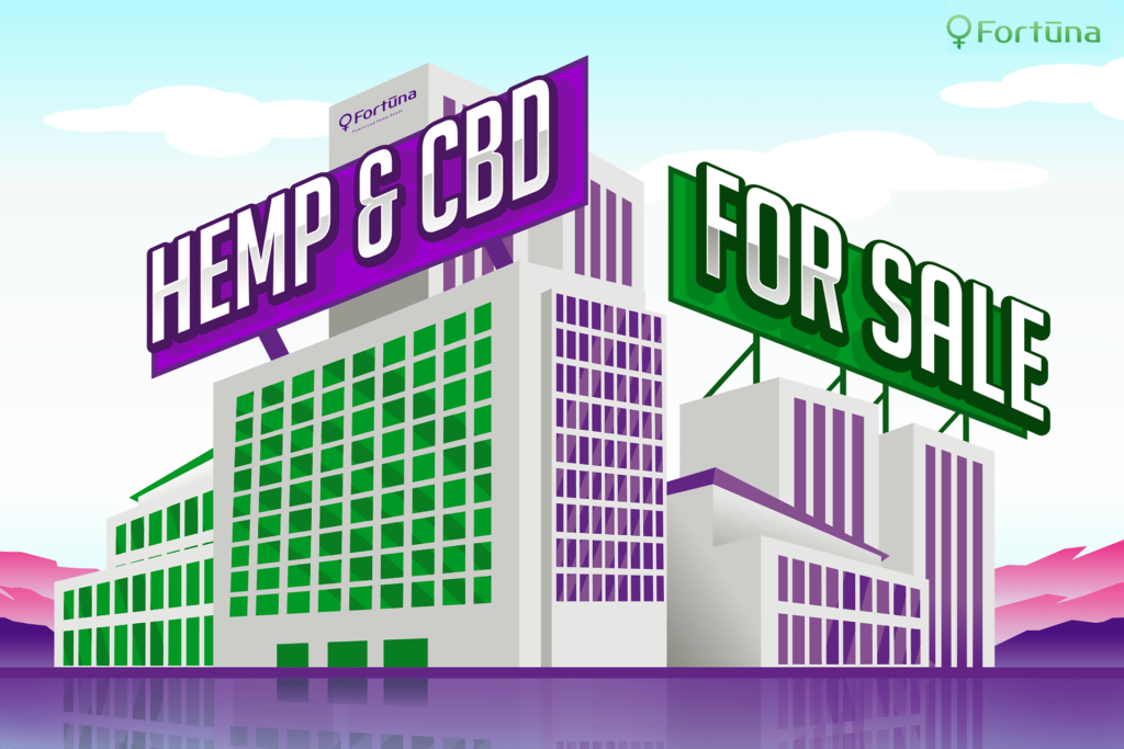CBD Hemp Business - Fortuna Feminized Hemp Seeds
