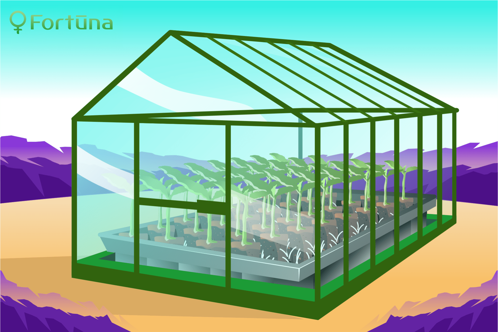 Hemp Seeds Germination In Greenhouse