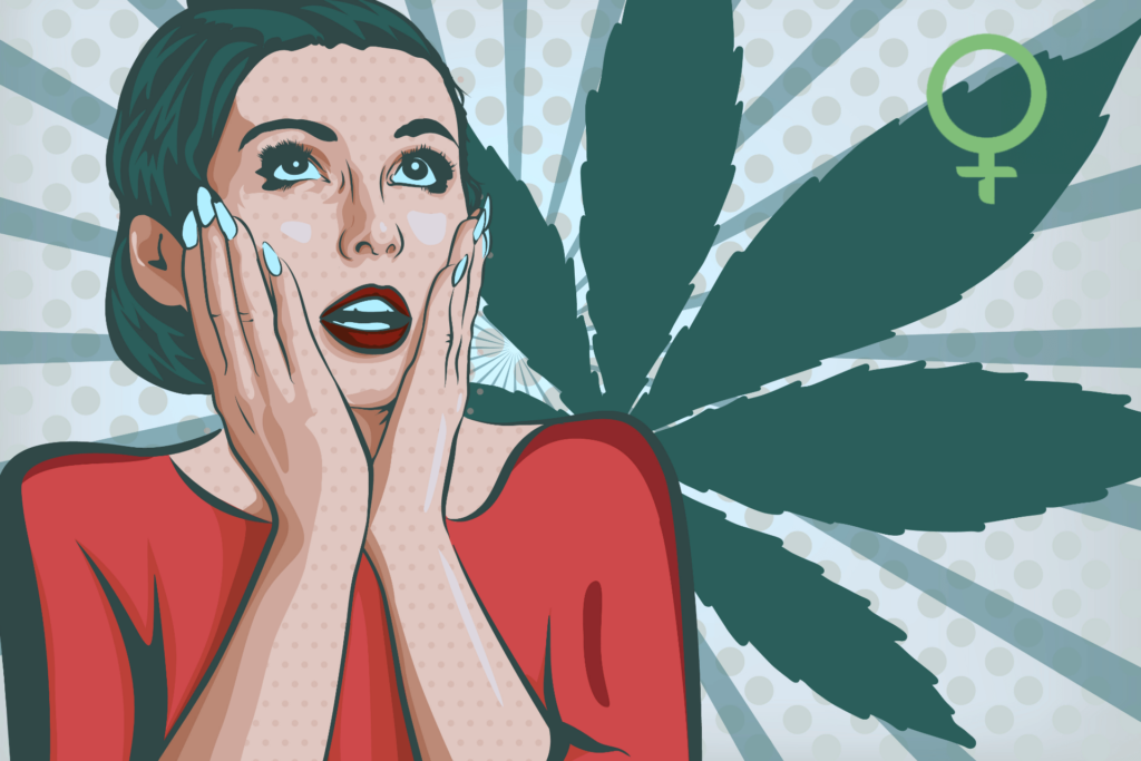 The Wife Hemp Strain - High CBD Marijuana Seeds