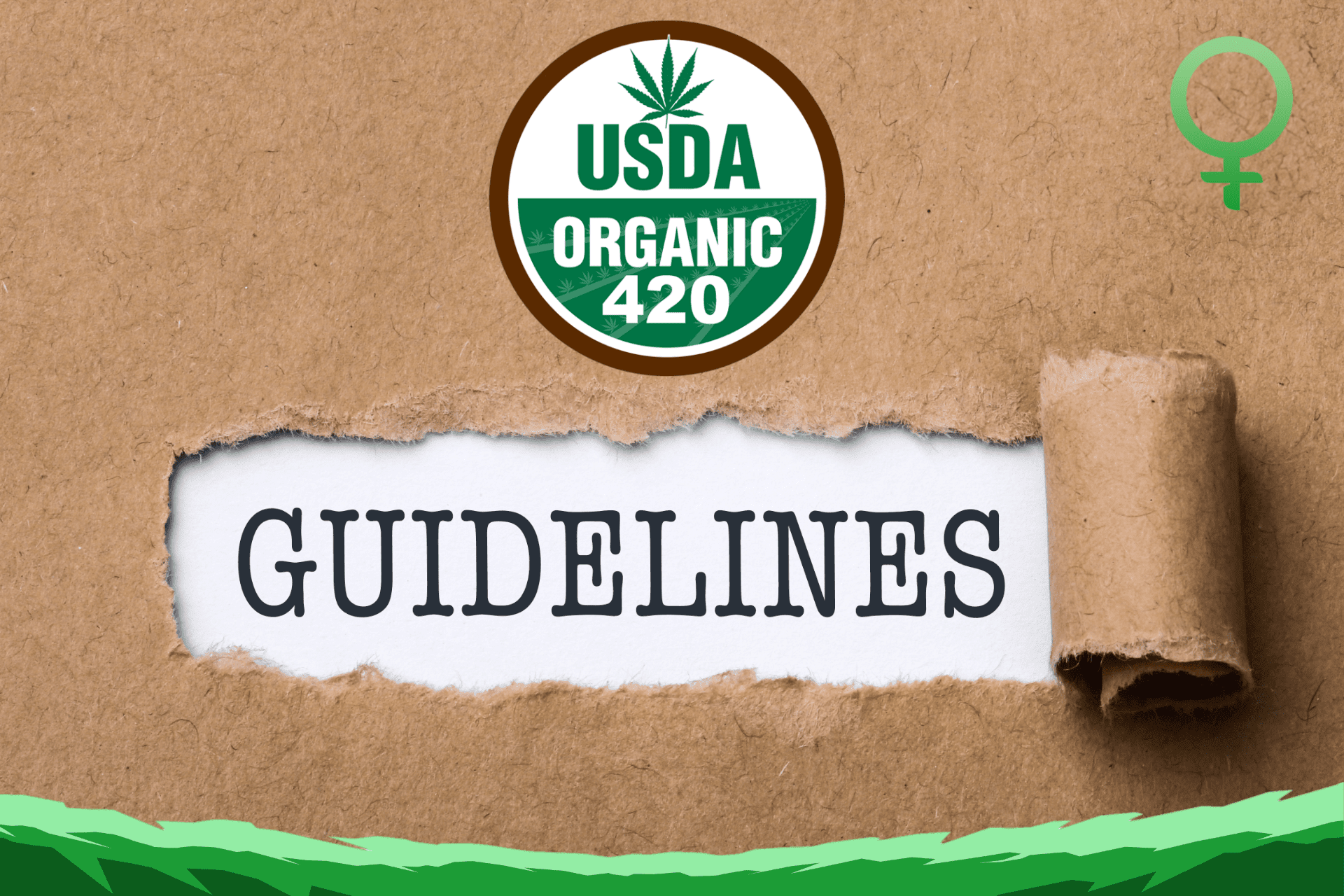 usda-hemp-seeds-guidelines-c-min