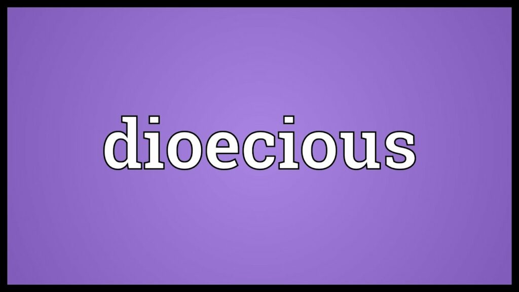 dioecious