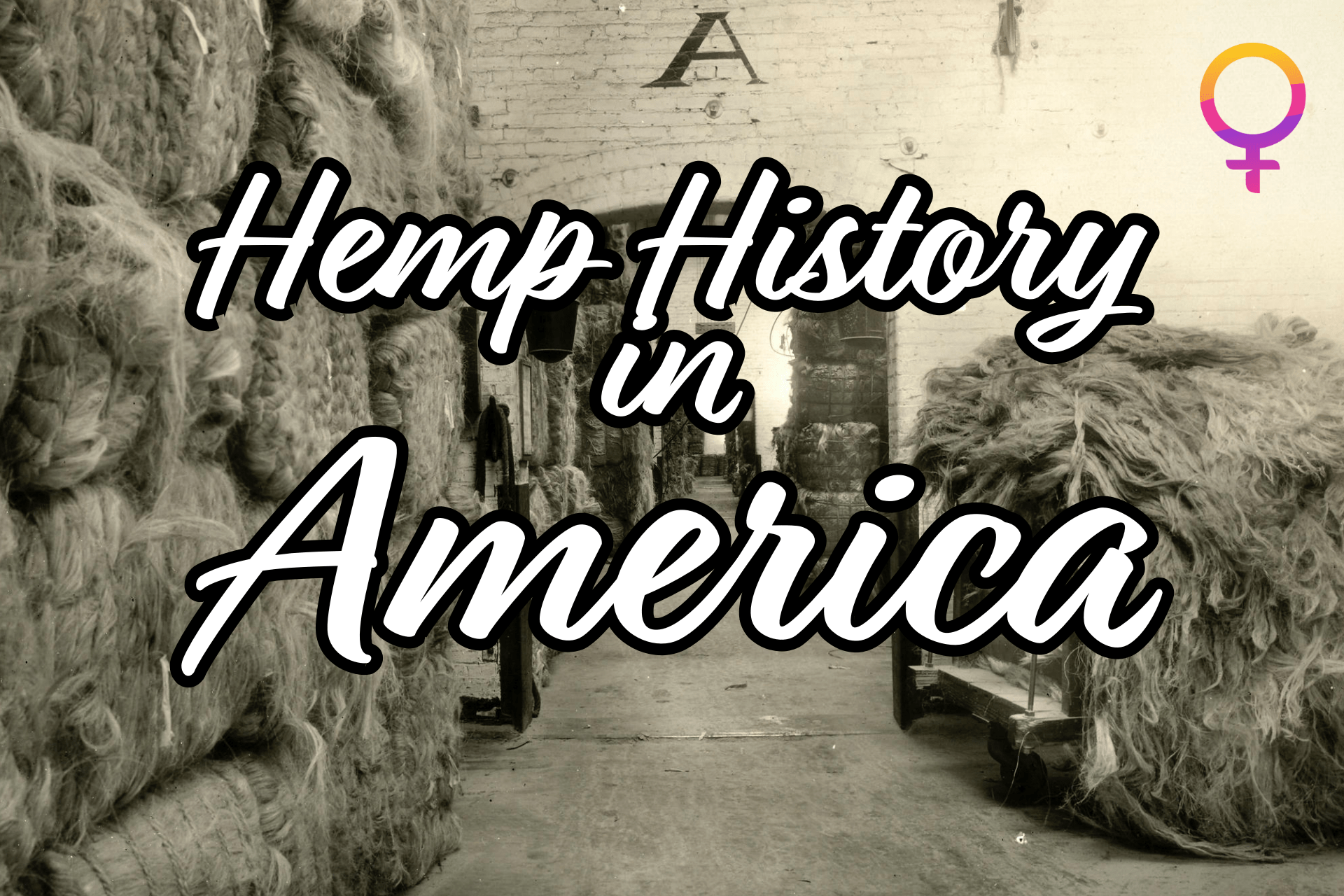 hemp-history-in-america-fortuna-seeds-c