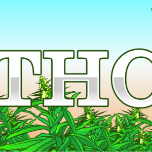 thc-cannabis-hemp-c-300x300