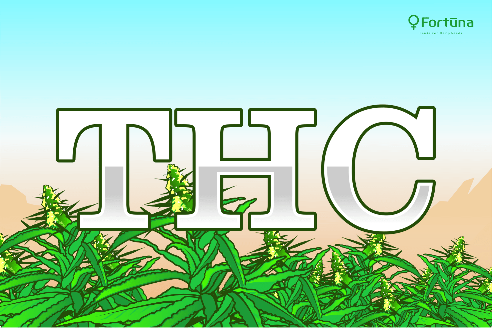 thc-cannabis-hemp-c