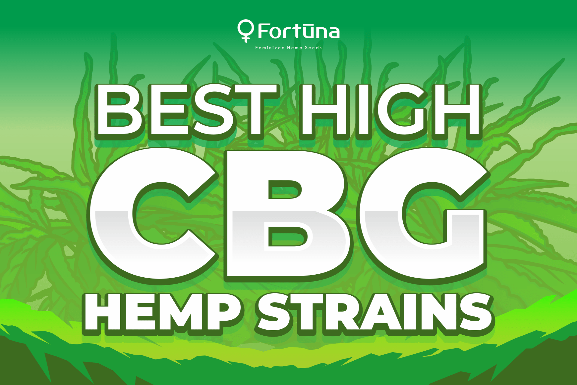 Best High CBG Hemp Strains