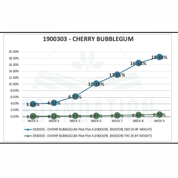 cherry bubblegum chart