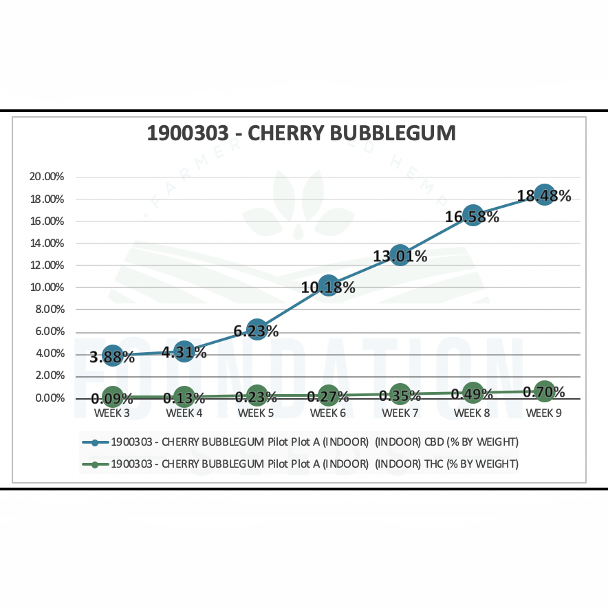 Cherry Bubblegum Feminized CBD Hemp Seeds
